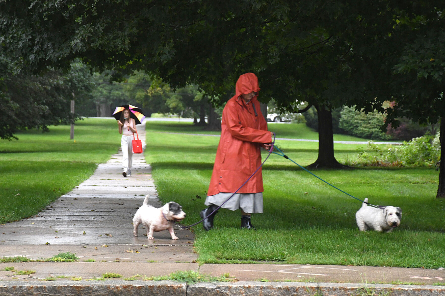 A woman walks her two dogs, while another woman walks with an umbrella